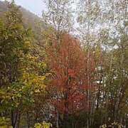 ヒメ日記 2025/10/12 08:33 投稿 黒川　芽衣子 タッチVIP