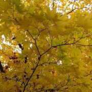 ヒメ日記 2025/11/09 08:27 投稿 黒川　芽衣子 タッチVIP