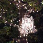 ヒメ日記 2025/11/30 07:51 投稿 黒川　芽衣子 タッチVIP