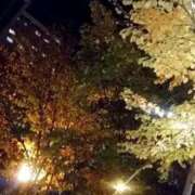 ヒメ日記 2025/12/07 07:33 投稿 黒川　芽衣子 タッチVIP