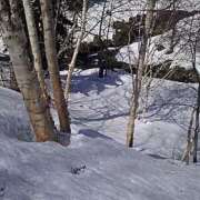 ヒメ日記 2026/03/12 07:42 投稿 黒川　芽衣子 タッチVIP