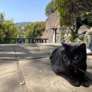 ヒメ日記 2025/04/06 23:04 投稿 椿　いずみ タッチVIP