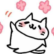 ヒメ日記 2025/04/16 23:19 投稿 椿　いずみ タッチVIP