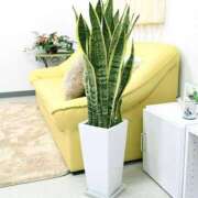 ヒメ日記 2025/07/18 21:03 投稿 椿　いずみ タッチVIP