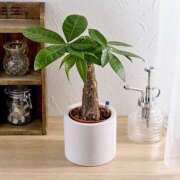 ヒメ日記 2025/07/22 07:42 投稿 椿　いずみ タッチVIP