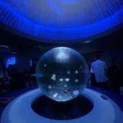 ヒメ日記 2025/08/21 07:51 投稿 椿　いずみ タッチVIP