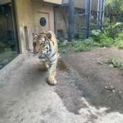 ヒメ日記 2025/09/05 07:15 投稿 椿　いずみ タッチVIP