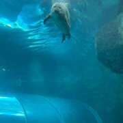 ヒメ日記 2025/10/10 22:33 投稿 椿　いずみ タッチVIP