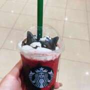 ヒメ日記 2025/10/15 00:12 投稿 椿　いずみ タッチVIP