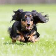 ヒメ日記 2025/11/04 23:19 投稿 椿　いずみ タッチVIP