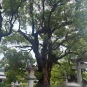 ヒメ日記 2026/06/29 22:03 投稿 椿　いずみ タッチVIP