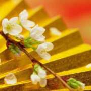 ヒメ日記 2025/01/03 11:19 投稿 深瀬　純 タッチVIP