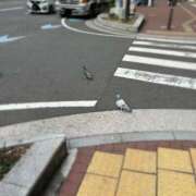 ヒメ日記 2025/02/04 11:13 投稿 深瀬　純 タッチVIP