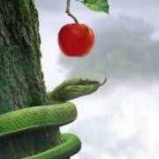 ヒメ日記 2025/08/02 10:48 投稿 深瀬　純 タッチVIP