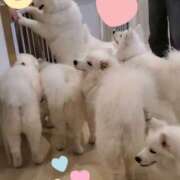 ヒメ日記 2025/03/04 07:19 投稿 神谷　りな タッチVIP