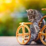 ヒメ日記 2025/04/02 07:19 投稿 神谷　りな タッチVIP