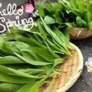 ヒメ日記 2025/04/22 07:18 投稿 神谷　りな タッチVIP