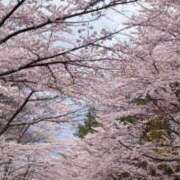 ヒメ日記 2025/05/03 07:18 投稿 神谷　りな タッチVIP