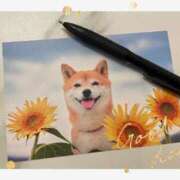 ヒメ日記 2025/08/26 07:03 投稿 神谷　りな タッチVIP