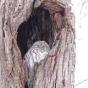 ヒメ日記 2025/09/05 07:15 投稿 神谷　りな タッチVIP