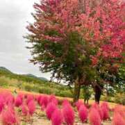 ヒメ日記 2025/10/08 14:18 投稿 神谷　りな タッチVIP