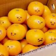 ヒメ日記 2026/01/05 01:48 投稿 神谷　りな タッチVIP