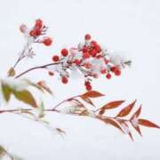 ヒメ日記 2024/12/14 19:03 投稿 香山橙子 お姉さんCLUB