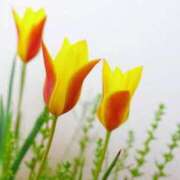 ヒメ日記 2024/12/15 14:27 投稿 香山橙子 お姉さんCLUB