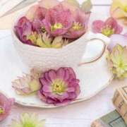 ヒメ日記 2024/12/19 20:42 投稿 香山橙子 お姉さんCLUB