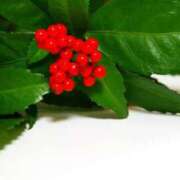 ヒメ日記 2024/12/31 18:57 投稿 香山橙子 お姉さんCLUB