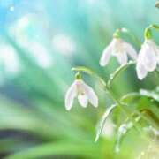 ヒメ日記 2025/01/01 20:42 投稿 香山橙子 お姉さんCLUB