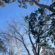 ヒメ日記 2025/01/14 18:49 投稿 香山橙子 お姉さんCLUB