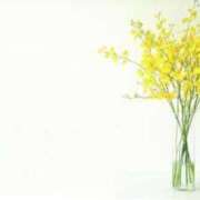 ヒメ日記 2025/01/15 15:42 投稿 香山橙子 お姉さんCLUB