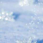 ヒメ日記 2025/01/18 22:58 投稿 香山橙子 お姉さんCLUB