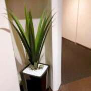 ヒメ日記 2025/02/08 17:07 投稿 香山橙子 お姉さんCLUB