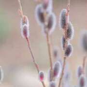 ヒメ日記 2025/02/12 18:24 投稿 香山橙子 お姉さんCLUB