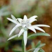 ヒメ日記 2025/02/13 12:51 投稿 香山橙子 お姉さんCLUB