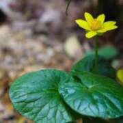 ヒメ日記 2025/02/18 14:04 投稿 香山橙子 お姉さんCLUB