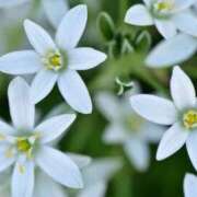 ヒメ日記 2025/02/27 13:27 投稿 香山橙子 お姉さんCLUB