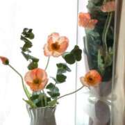 ヒメ日記 2025/03/04 17:37 投稿 香山橙子 お姉さんCLUB