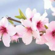 ヒメ日記 2025/03/16 15:48 投稿 香山橙子 お姉さんCLUB