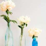 ヒメ日記 2025/04/02 14:03 投稿 香山橙子 お姉さんCLUB