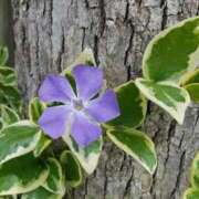 ヒメ日記 2025/04/10 13:48 投稿 香山橙子 お姉さんCLUB