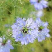 ヒメ日記 2025/04/21 14:48 投稿 香山橙子 お姉さんCLUB