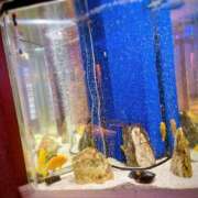 ヒメ日記 2025/04/21 16:18 投稿 香山橙子 お姉さんCLUB