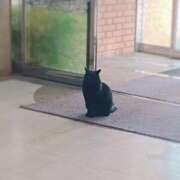 ヒメ日記 2025/04/26 19:49 投稿 香山橙子 お姉さんCLUB