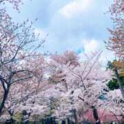 ヒメ日記 2025/05/04 16:33 投稿 香山橙子 お姉さんCLUB