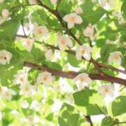 ヒメ日記 2025/05/07 14:03 投稿 香山橙子 お姉さんCLUB