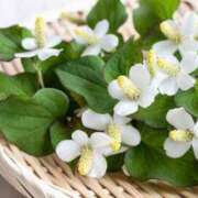 ヒメ日記 2025/05/15 18:42 投稿 香山橙子 お姉さんCLUB