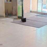 ヒメ日記 2025/05/28 23:27 投稿 香山橙子 お姉さんCLUB